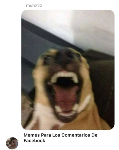 screenshot mammal tooth