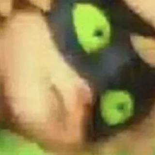 Sticker Это полный Miraculous 🗿 - 9