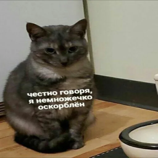 Sticker mirqwwpykni - 1