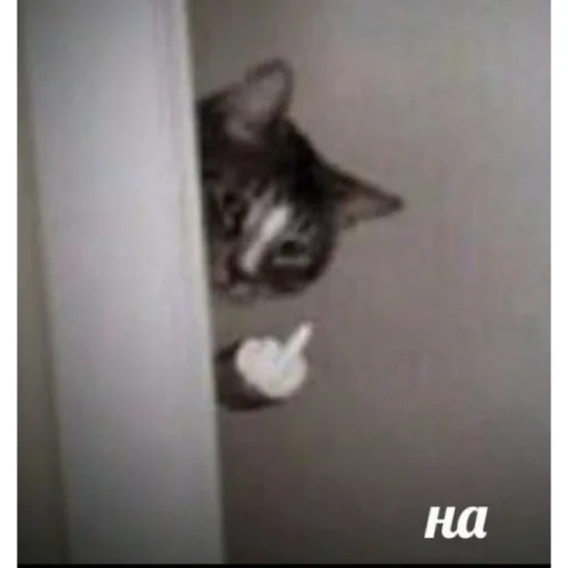 Sticker mirqwwpykni - 1