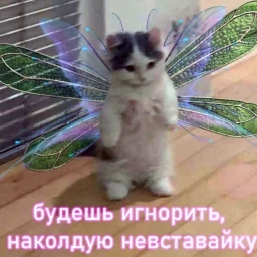 Sticker mirqwwpykni - 1