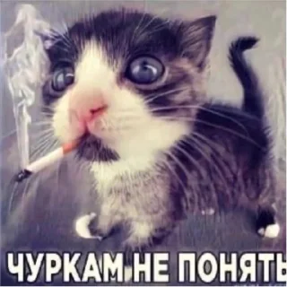 Стикер mirqwwpykni - 2