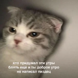 Стикер mirqwwpykni - 3