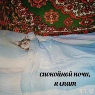 Стикер mirqwwpykni - 10