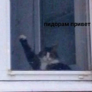 Стикер mirqwwpykni - 0