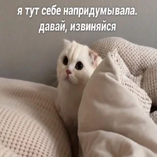 Стикер mirqwwpykni - 1