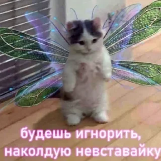 Стикер mirqwwpykni - 6