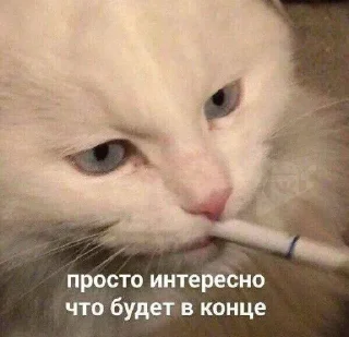 Sticker пошел нахуй - 6