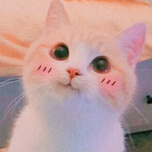 Стикер misakablog_3 - 1