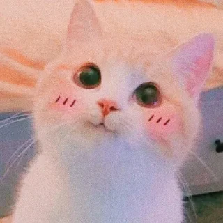 Sticker @misakablog 的私藏 (3) - 6