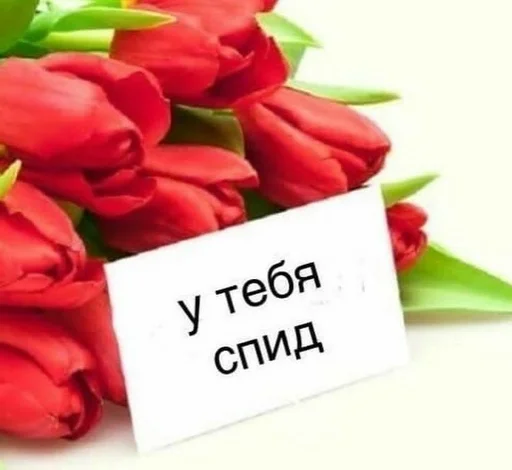 СМС лепесток День Святого Валентина