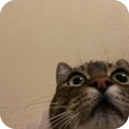 Стикер misasoup5 - 1