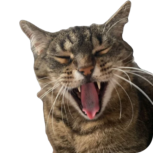 Стикер misasoup5 - 1