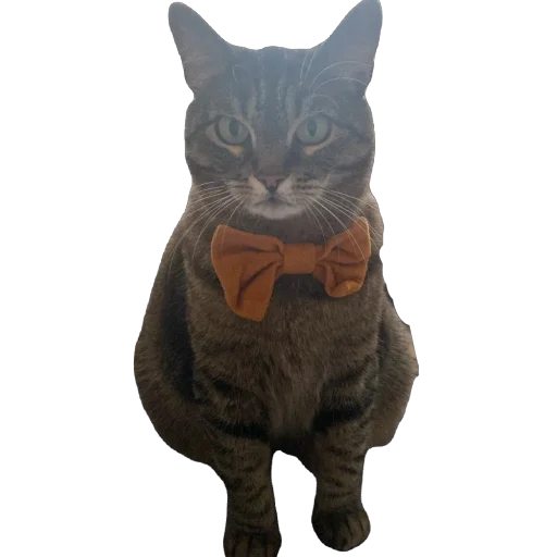 Sticker misasoup5 - 1