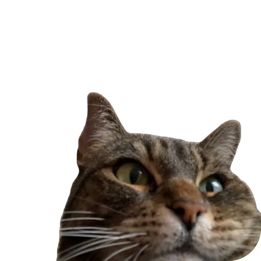 Sticker misasoup5 - 1