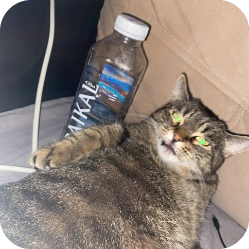 Sticker misasoup5 - 1