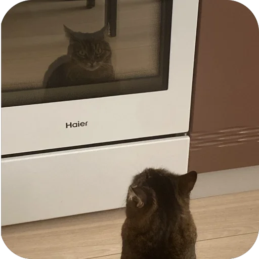 Sticker misasoup5 - 1