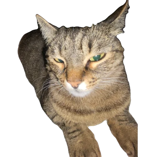 Стикер misasoup5 - 1