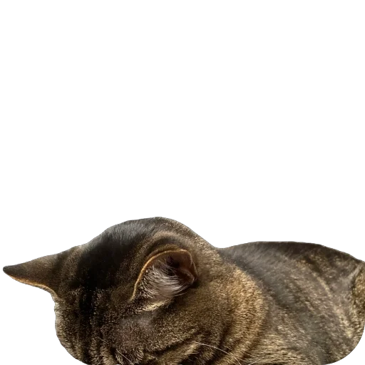 Sticker misasoup5 - 1