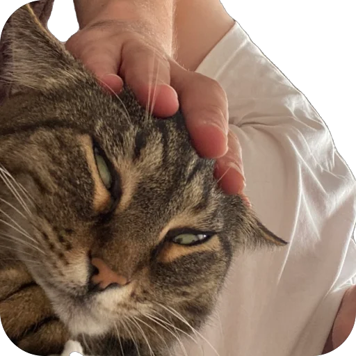 Sticker misasoup5 - 1