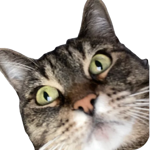 Sticker misasoup5 - 1