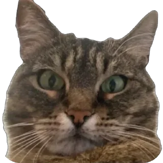 Стикер misasoup - 8