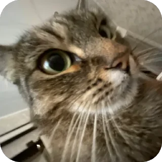 Стикер misasoup - 0