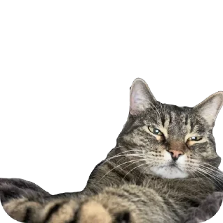 Стикер misasoup - 7