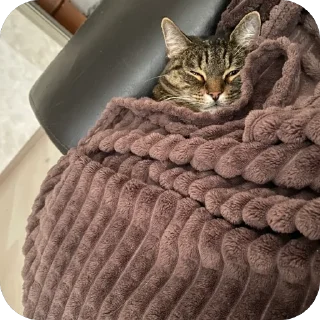 Стикер misasoup - 5