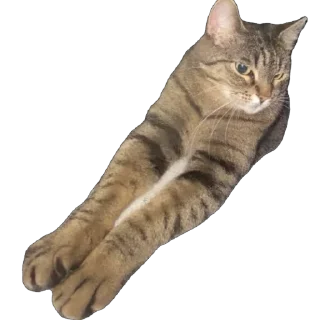 Стикер misasoup - 3