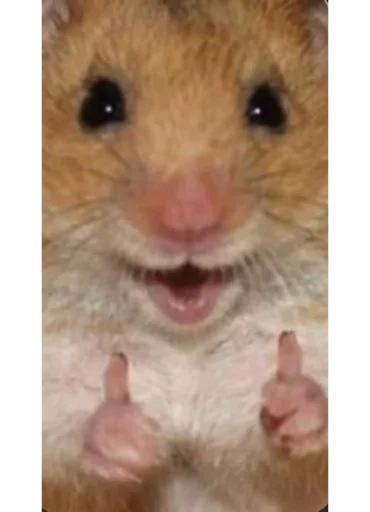 Стикер mish_I - 1