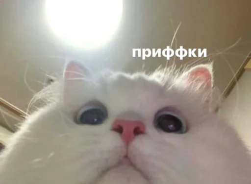 Стикер mish_I - 1