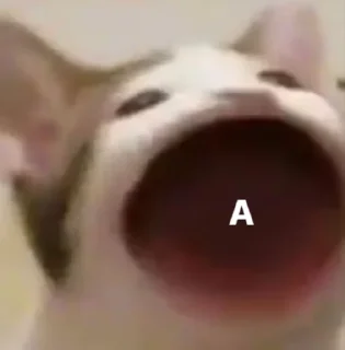 Стикер мыши и животные - 8