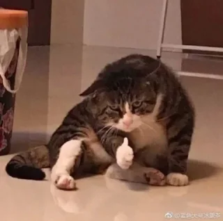 Стикер мыши и животные - 0