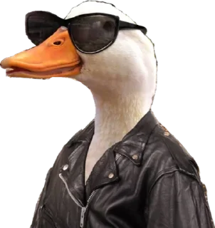 Стикер мыши и животные - 10