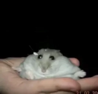 Стикер мыши и животные - 6