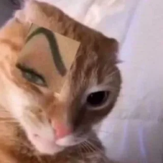 Sticker убойные котятки - 2