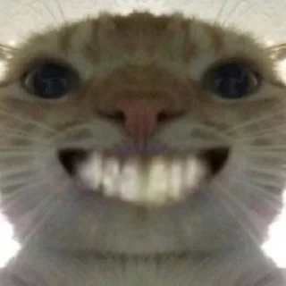 Sticker убойные котятки - 6