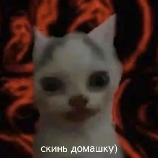 Sticker убойные котятки - 9