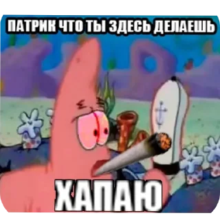 Sticker лучшие приколы @mishamemes - 11