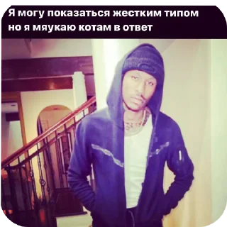 Sticker лучшие приколы @mishamemes - 0