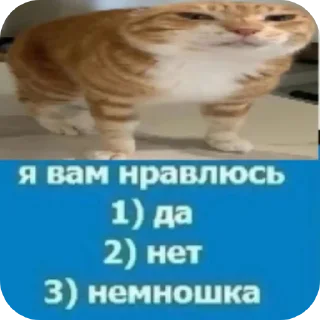 Sticker лучшие приколы @mishamemes - 1