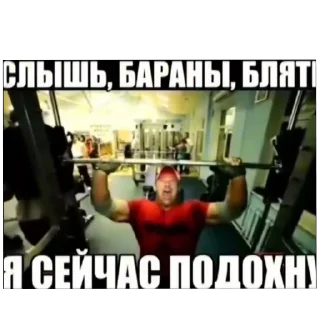 Sticker лучшие приколы @mishamemes - 2