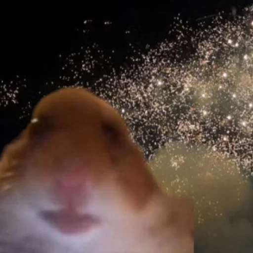 Стикер mishamildexy - 1