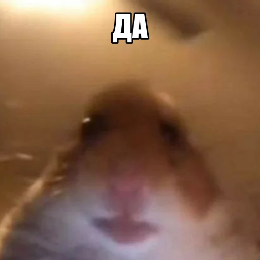 Sticker mishamildexy - 1