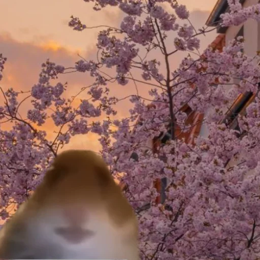 Стикер mishamildexy - 1