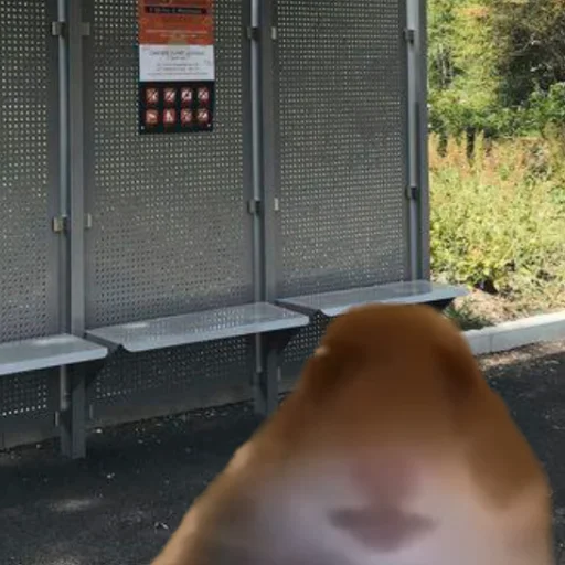 Стикер mishamildexy - 1