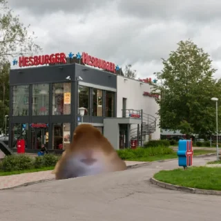 Стикер хомяк @stickermily - 6