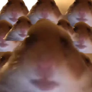 Стикер хомяк @stickermily - 2