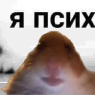 Стикер хомяк @stickermily - 7